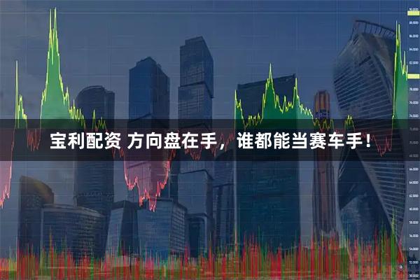 宝利配资 方向盘在手，谁都能当赛车手！