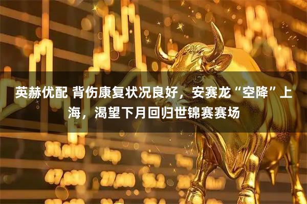 英赫优配 背伤康复状况良好，安赛龙“空降”上海，渴望下月回归世锦赛赛场