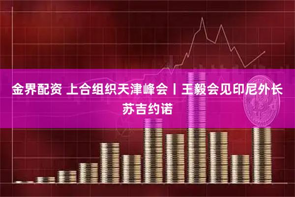金界配资 上合组织天津峰会丨王毅会见印尼外长苏吉约诺