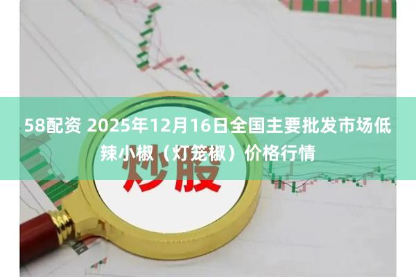 58配资 2025年12月16日全国主要批发市场低辣小椒（灯笼椒）价格行情