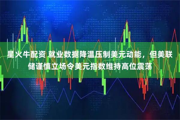 星火牛配资 就业数据降温压制美元动能，但美联储谨慎立场令美元指数维持高位震荡